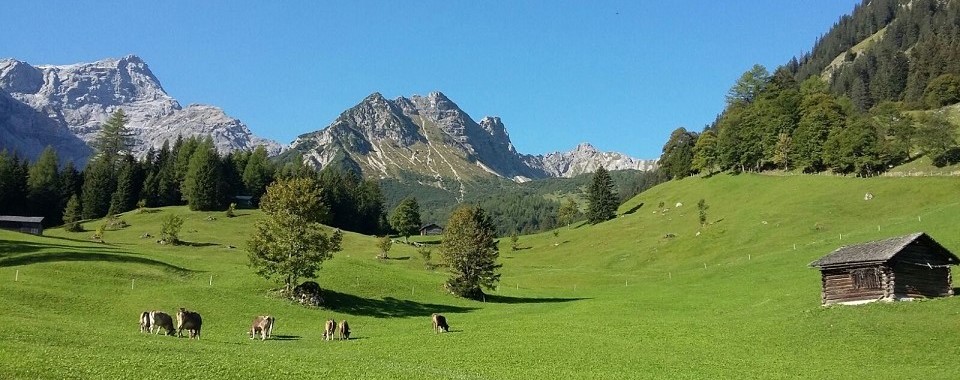 Alpe Zalim